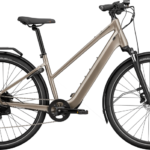 CANNONDALE Mavaro Neo SL 1 STH 2024 Grey