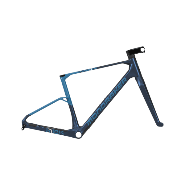 alt ARID CARBON RR SL TELAIO